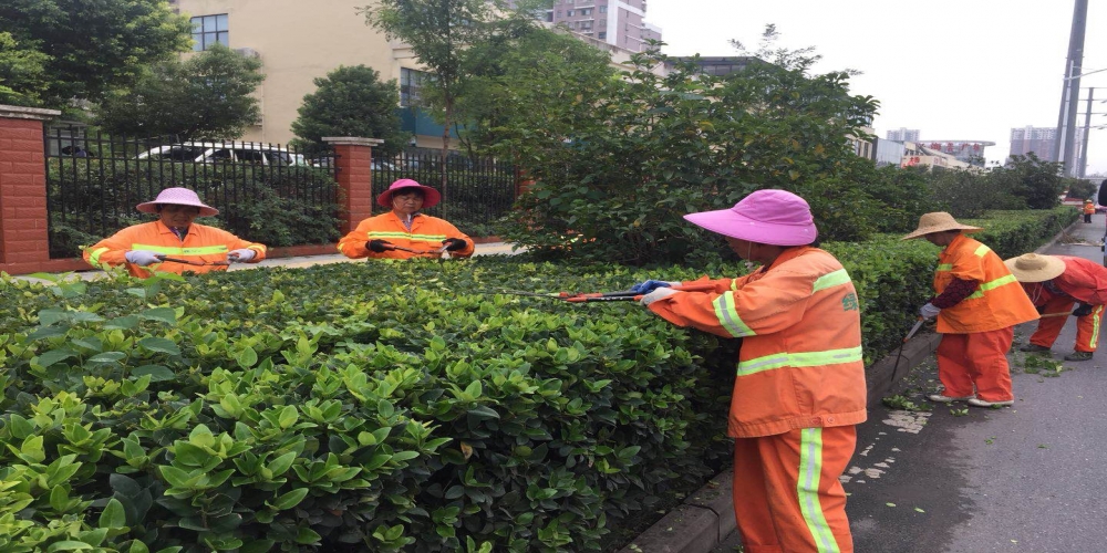 新站區(qū)道路清掃保潔、綠化管養(yǎng)項(xiàng)目